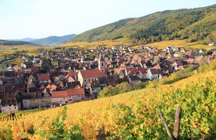 À LA DÉCOUVERTE DU TERROIR ALSACIEN