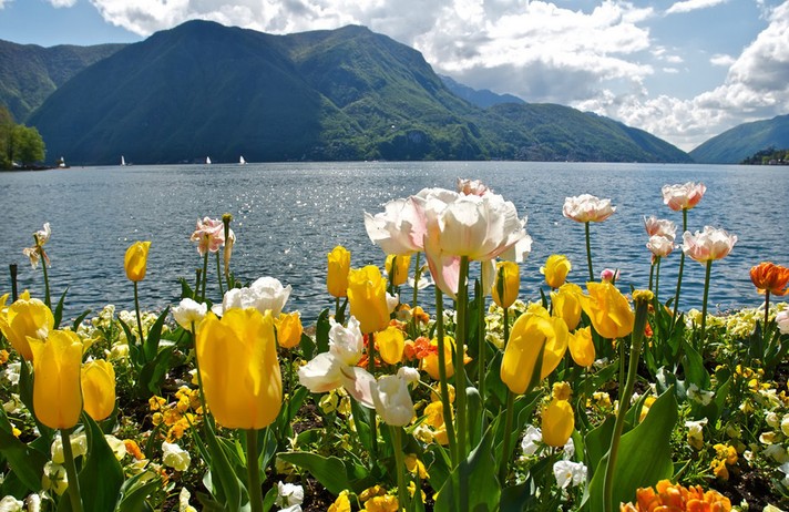 LUGANO – Balade printanière au Tessin