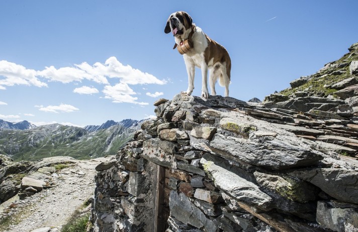 Le Grand-St-Bernard