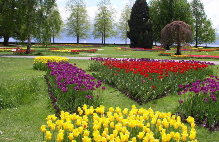 Balade de Pâques et Tulipes à Morges