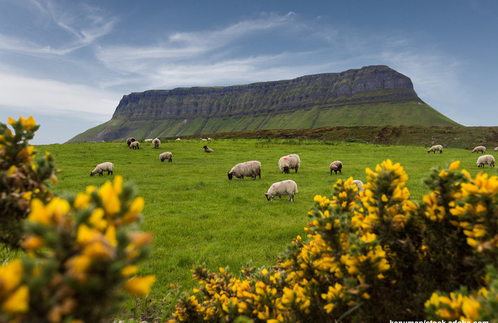 IRLANDE DU SUD ET ANNEAU DU KERRY