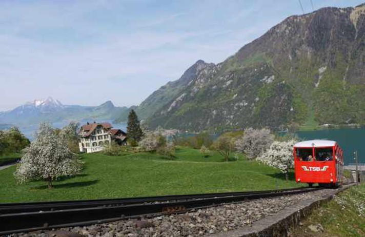 LE SEELISBERG - ISENTHAL