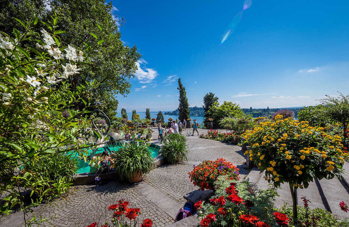 Île de Mainau, spécial roses