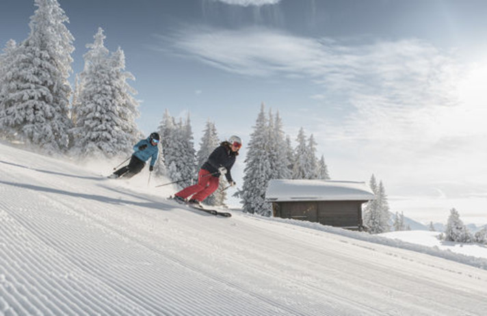 JOURNEE DE SKI - REGION DE GSTAAD A SAANENMÖSER