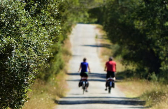 VOYAGE ACTIF EN VELO ELECTRIQUE - LES ALPILLES