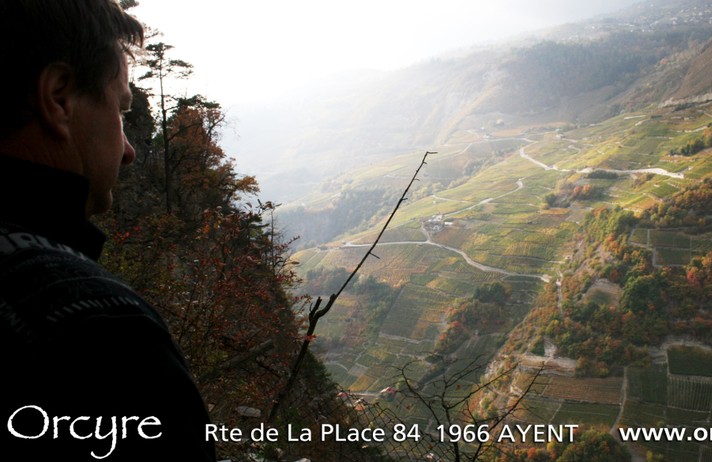 BRISOLEE ET CAVE D'ORCYRE