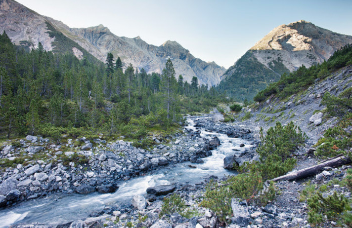 PARC NATIONAL DE ZERNEZ - SAINT-MORITZ