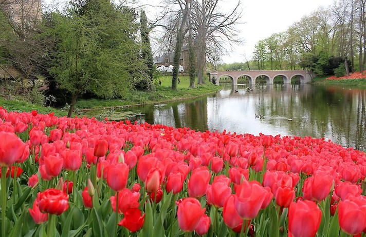BRUXELLES - FLORALIA au Château de Grand-Bigard