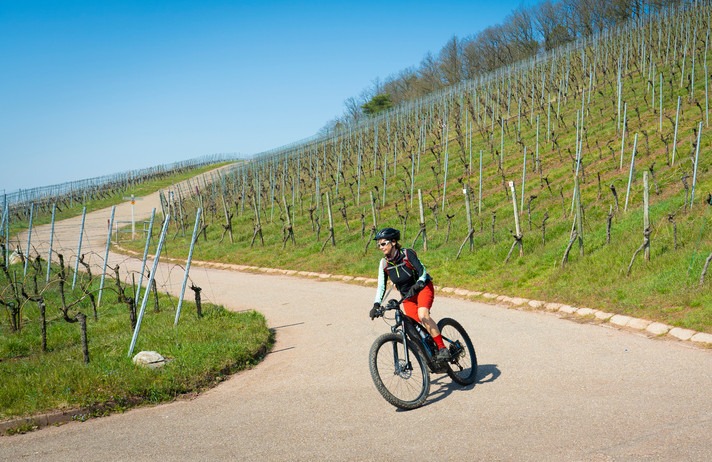 VOYAGE ACTIF À VÉLO ÉLECTRIQUE ET VÉLO - LA BOURGOGNE