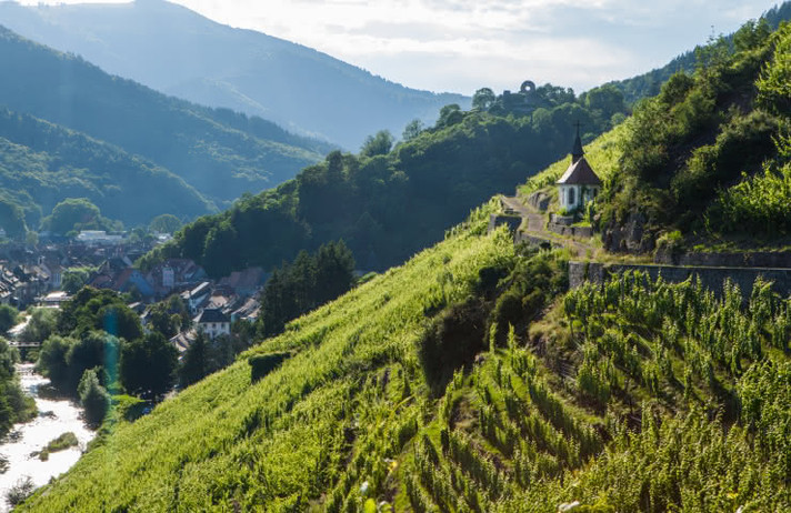 ALSACE - LA ROUTE DES VINS